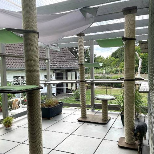 Kratzbume Fr Den Balkon